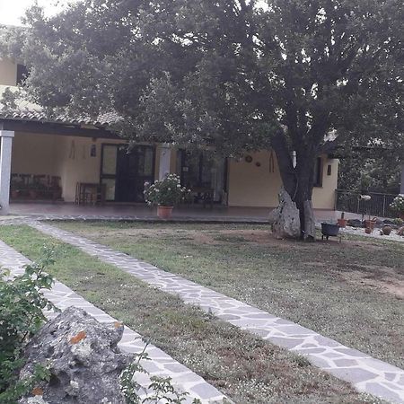 Agriturismo La Tuva Villa Padru Buitenkant foto