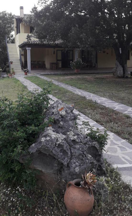 Agriturismo La Tuva Villa Padru Buitenkant foto