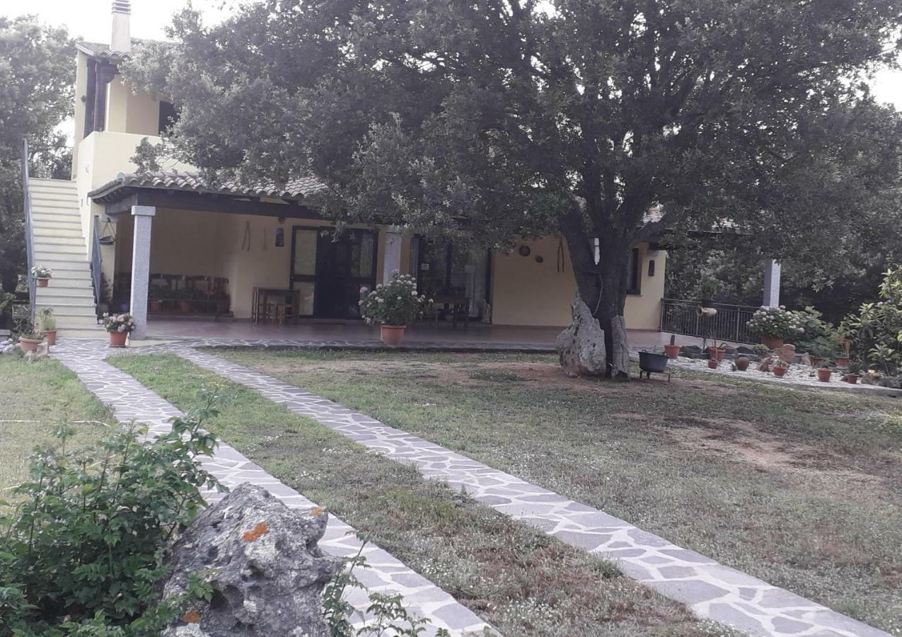 Agriturismo La Tuva Villa Padru Buitenkant foto