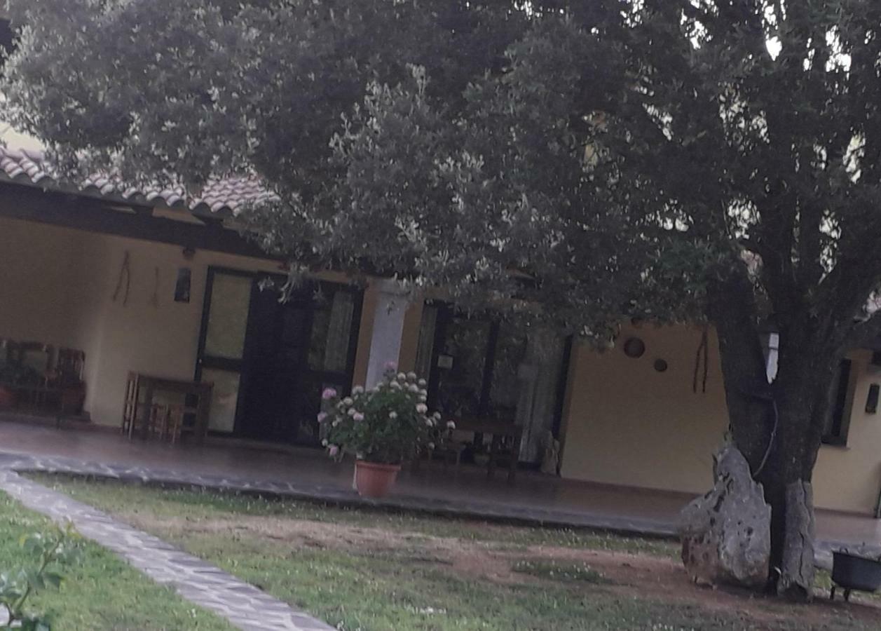 Agriturismo La Tuva Villa Padru Buitenkant foto